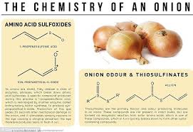 Why Asparagus Makes Your Urine Smell And Onions Make Your Cry Chemistry Classroom Science Chemistry Teaching Chemistry