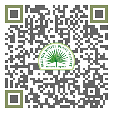 Image result for Drypetes sclerophylla