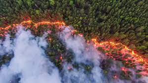 Se definen así aquellos incendios que superan las 500 hectáreas forestales afectadas. Gobernadores En Estados Unidos Afirman Que Los Incendios Forestales Tienen Relacion Directa Con El Cambio Climatico Conexioncop Conexioncop