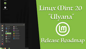 Linux Mint 20 Uiyana Review Complete Os For Everybody In 2020 Linux Mint Linux New Tricks