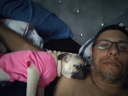 Man slapped for being eyewitness