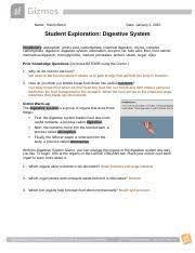 First, the digestive system breaks food down into useful nutrients, a process called digestion. Student Exploration Digestive System Answers Digestivesystemse 2 Docx Student Exploration Digestive System Vocabulary Absorption Amino Acid Carbohydrate Chemical Digestion Chyme Complex Course Hero Create The Digestive System Shown