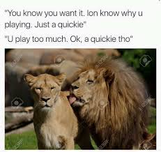 98 Best Friends Memes To Share With Your Closest Friends Lion King Meme Lion Memes King Meme