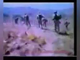 Abdi kaamil cawaale heesti nimuu caashaq helayoo origin. Naftii Hure Cabdi Kaamil Cawaale 77 Youtube