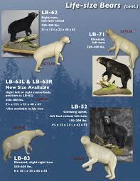 Black Bear Vs Grizzly Bear Size Bear Forms Bear Taxidermist Bear Taxidermy Black Bear Mount Bear Taxidermy Specialists Grizzly Bear Mount Brown Be Bear Skin Rug Bear Mounts Grizzly Bear