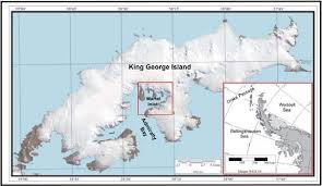 Integrity is central to our values. Martel Inlet Location In King George Lsland Antarctica Download Scientific Diagram