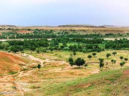mango gardens al junaynah western darfur حدائق المنجة الجنينة غرب دارفور السودان by elradi ishag sudan aljunaynah darfur