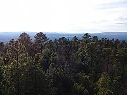 Mesa De San Rafael Home Facebook