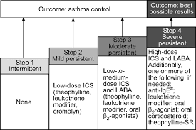 Examining The Unmet Need In Adults With Severe Asthma