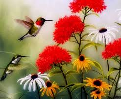 Look At The Birds Of The Air Kjv Matthew 6 26 27 Kjv Look At The Birds Of The Air Ecard In 2020 Birds Tuesday Greetings Matthew 6 26