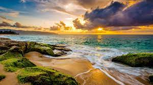 Mar y playa al atardecer. Playa Atardecer Hawaii Naturaleza Mar Wallpaper 2560x1440 1404279 Wallpaperup