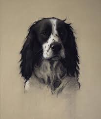 Look At Those Beautiful Rich Tones We Love Phoebe Cripps Artist Fakir Charcoal And Chalk On Toned Pastel Paper Nitram Dog Drawing Dog Portraits Dog Art