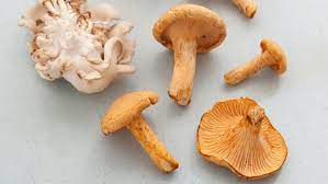 The Magic Of Mushrooms Stuffed Mushrooms Oyster Mushroom Recipe Mushroom Recipes