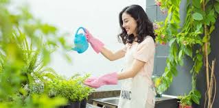 Anda bisa menyimpan gambar ini ke pc atau gadget lain secara gratis. Pokok Hiasan Dalam Rumah 7 Jenis Pokok Pembersih Udara Theasianparent Malaysia