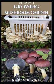 Maybe you would like to learn more about one of these? Up To Date Growing Mushroom Garden Step By Step Guide To Growing Mushroom Indoor And Outdoor Jones Dr David 9798552550944 Amazon Com Books