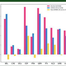 6 to 30 characters long; Pdf Excess Mortality The Gold Standard In Measuring The Impact Of Covid 19 Worldwide