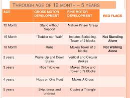 rational month by month developmental milestones chart