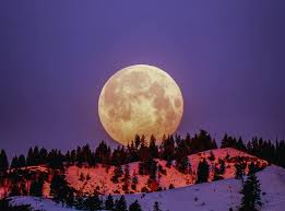 Call us today and book khoa for your next event! Don T Miss The Stunning Frosty Moon Eclipse And A Beautiful Moonrise Next Week Secret Philadelphia