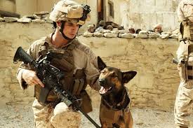 The story takes a sad turn when his handler is killed and max is sent back to the states, because it's believed he may have a the story is based on true events, but i'm not sure of the exact details. All The Times I Cried During Max The Ptsd Dog Movie
