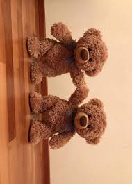 Pin Von Andrea Drexler Auf Priklyucheniya Medvezhat Teddy Bilder Niedliche Baren Niedlich