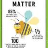 As bees collect nectar, pollen from the anther (male part) sticks to their body. 3