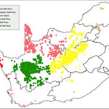 Image result for Buchnera longespicata