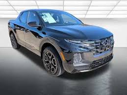 Image result for Hampton Gray 2024 Santa Cruz