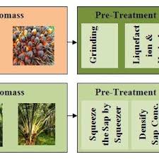 Dilansir gulfnews, minggu (2/8/2020), 12 dokter yang meninggal berasal dari institut ilmu kedokteran medis india (aiims) yang dikelola. Pdf A Review Of Bioethanol Production From Plant Based Waste Biomass By Yeast Fermentation