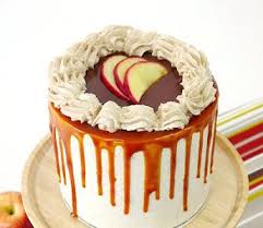 Recette Gateau D Anniversaire Licorne En 2020 Noel Recette Aperitif Recette Apero Facile Cake Pomme Cannelle