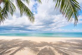 نتیجه جستجوی لغت [strand] در گوگل