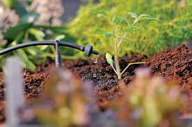Maybe you would like to learn more about one of these? Des Kits De Micro Irrigation Pour Arroser Automatiquement Plantes Et Potager