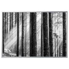 Bjorksta Gerahmtes Bild Sonnenstrahlen Aluminiumfarben 200x140 Cm Von Ikea Ansehen Materialtyp 50 % der note.
