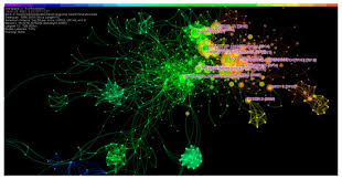 Akankah mereka melakukan apapun untuk cinta sejati? Ijerph April 2 2020 Browse Articles
