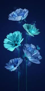 Wallpaper biru muda 59 image collections of wallpapers. Anik Kurniati Anikkurniatimondo Profil Pinterest