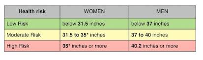 Waist Circumference Measure Your Waist To Help Measure Your