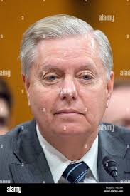 Mick graham hi-res stock photography and images