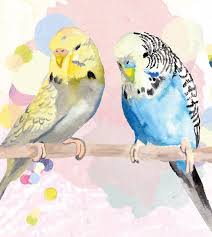 Budgies Art Print Beneath The Sun Parakeet Art Bird Drawings Bird Art