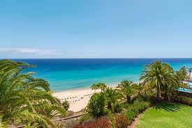 The game contains wild and tamed animals, many items and quests of course! Meine Schlechteste Robinson Erfahrung Robinson Club Esquinzo Playa Pajara Bewertungen Tripadvisor