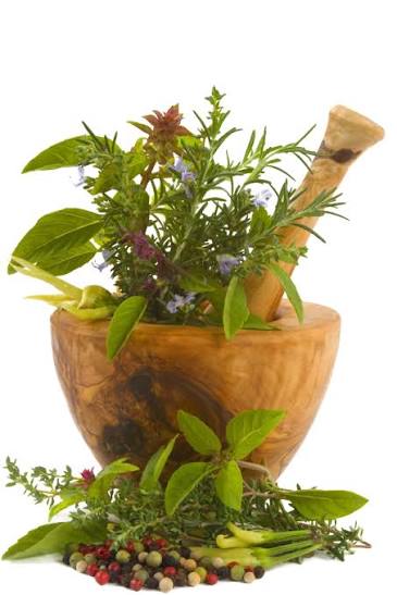 Herbs and Seasonings
