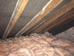 I think the landlord is responsible for animal infestation of the premises generally but you also, from a pragmatic standpoint, do you have access to the attic from the inside of the home? Rats In The Attic What Do You Do Pest Control Products