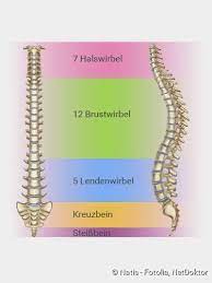 Bandscheibenvorfall Symptome Diagnose Behandlung Netdoktor