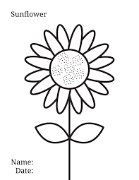How about using it as a collage base and gluing sunflower seeds to the middle circle, and crumpled tissue paper to the petals and leaves? Sunflower Coloring Pages For Kids Mama S Must Haves