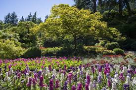 See all things to do. The Butchart Gardens Butchartgardens Twitter