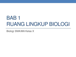 We did not find results for: Ppt Bab 1 Ruang Lingkup Biologi Powerpoint Presentation Free Download Id 6220233