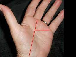 Inherited money line in palmistry or property line: Know What The Money Line In Your Palm Says About You The Times Of India