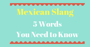 Culero culero means asshole, thats it. 5 More Mexican Slang Words That You Need To Know Hello Spanish