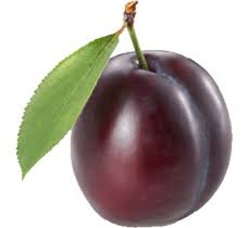 download plum png image hq png image freepngimg download plum png image hq png image