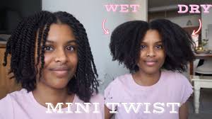 Sometimes doing twists can seem tedious, and at first it may take let your hair air dry prior to styling, especially if you are going to sleep afterwards. How To Mini Twist Wet Shrunken Vs Dry Stretched Short Medium Length Type 4 Natural Hair Youtube