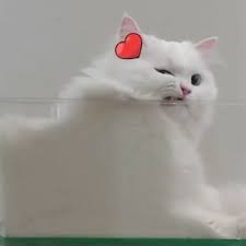 Download lagu siti nurhaliza mp3 gratis, siti nurhaliza lagu pilihan terbaik best bisa anda temukan secara gratis. Koleksi Lagu Raya Terbaik Dato Siti Nurhaliza By Sinrin9698