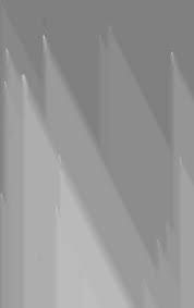 Image result for Motandra lujaei